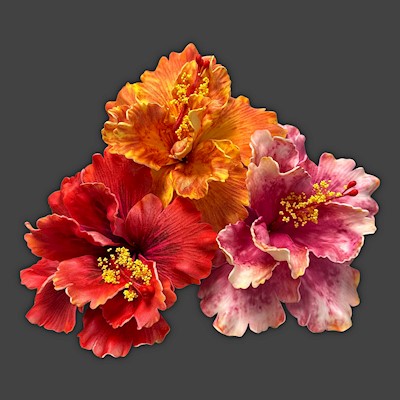 Double Hibiscus Pick                                                       